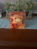 Highland Cow