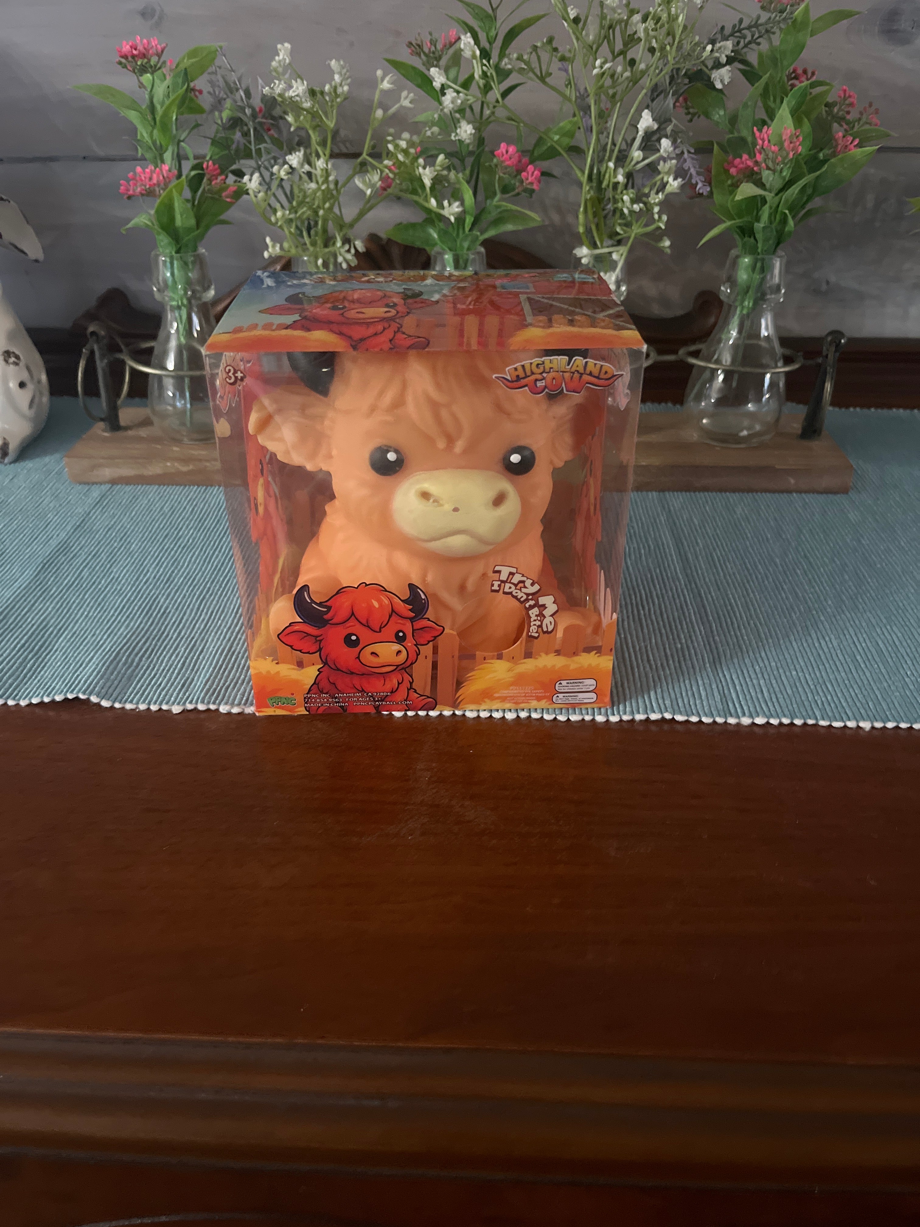 Highland Cow